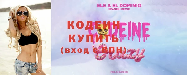 индика Козельск