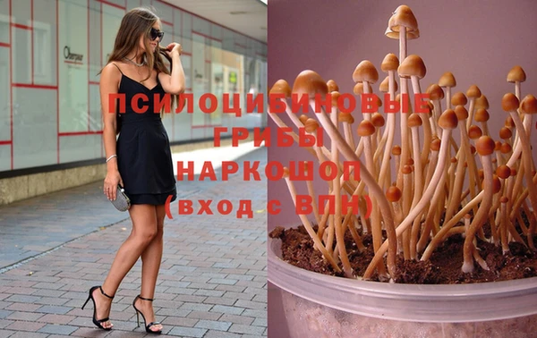 марки nbome Козловка