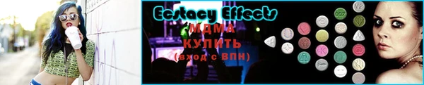 индика Козельск