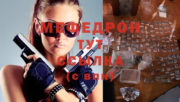 сатива Коряжма