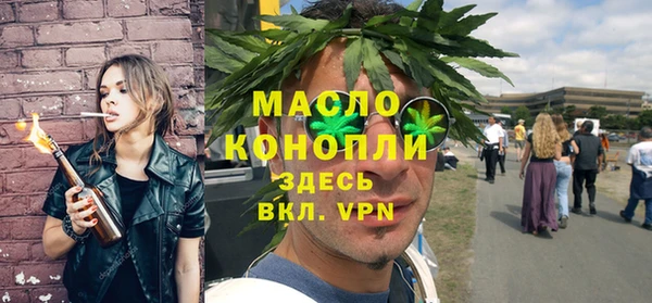 сатива Коряжма