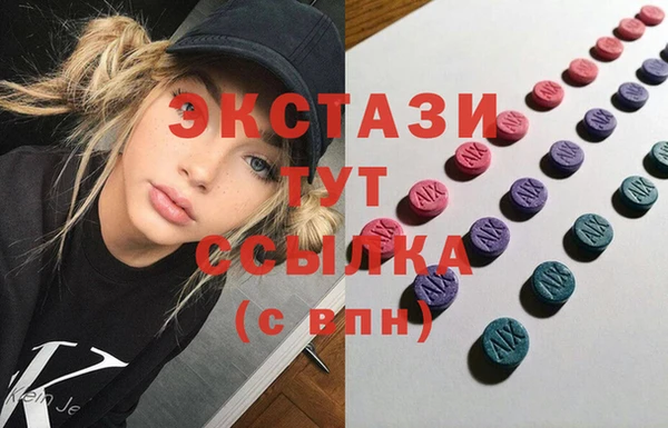 индика Козельск
