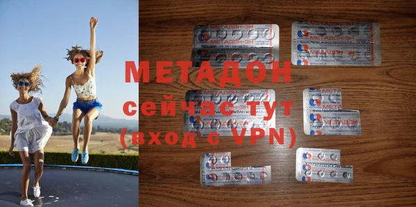 индика Козельск