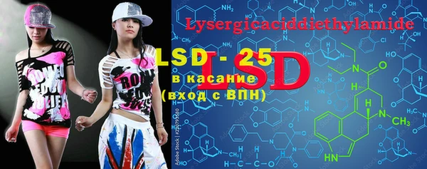 индика Козельск