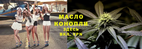 сатива Коряжма