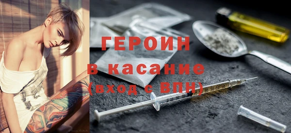 индика Козельск