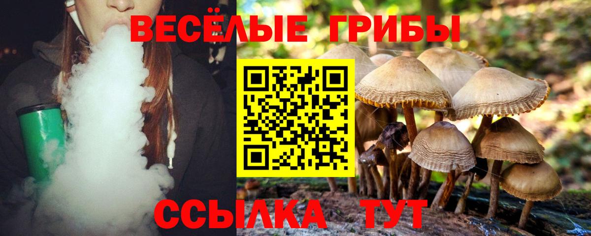 Галлюциногенные грибы прущие грибы  Вход с VPN  Каменск-Уральский  Псилоцибиновые грибы Psilocybine cubensis 